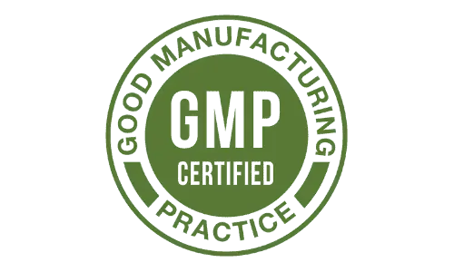 gmp certification